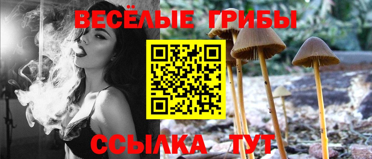 Псилоцибиновые грибы мицелий Ярцево