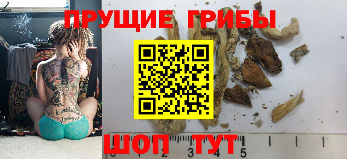 Галлюциногенные грибы Cubensis  Галлюциногенные грибы GOLDEN TEACHER  Ярцево  Вход с VPN 